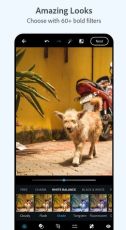 Photoshop Mod APK'sı