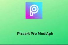 PicsArt Pro Mod Apk v23 8 7 Premium Unlocked Download PicsArt Pro Mod Apk v23 8 7 Premium Unlocked Download
