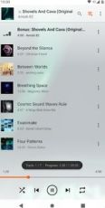 VLC Player Mod Apk